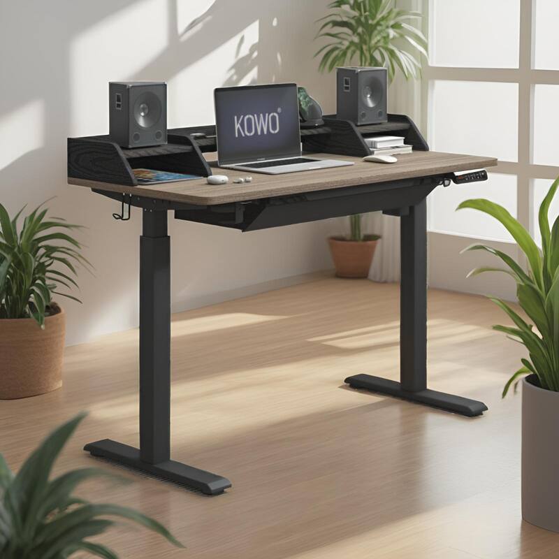 KOWO K304 55 Inch Electric Height Adjustable Desk Sit to Stand Workstation for Home Office, Ergonomic Computer Desk with Memory