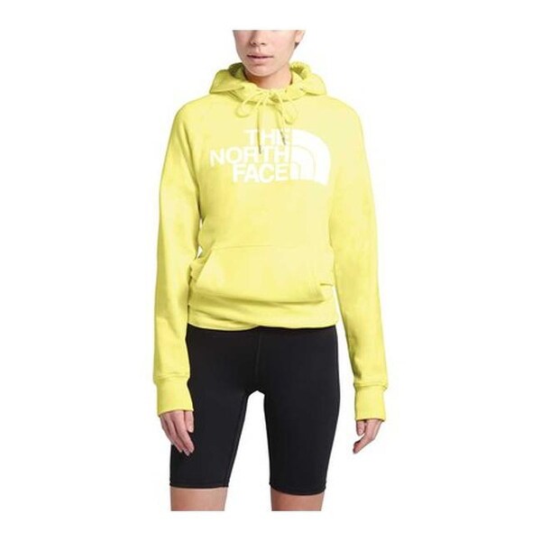 the north face jumbo half dome pullover hoodie