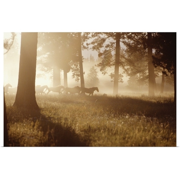 "Horses running in forest, early morning mist, side view" Poster Print