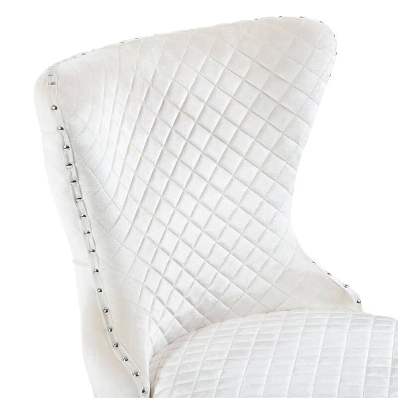 Furniture of America Thaddeus Glam Fabric Dining Chair with Nailhead Trim (Set of 2)