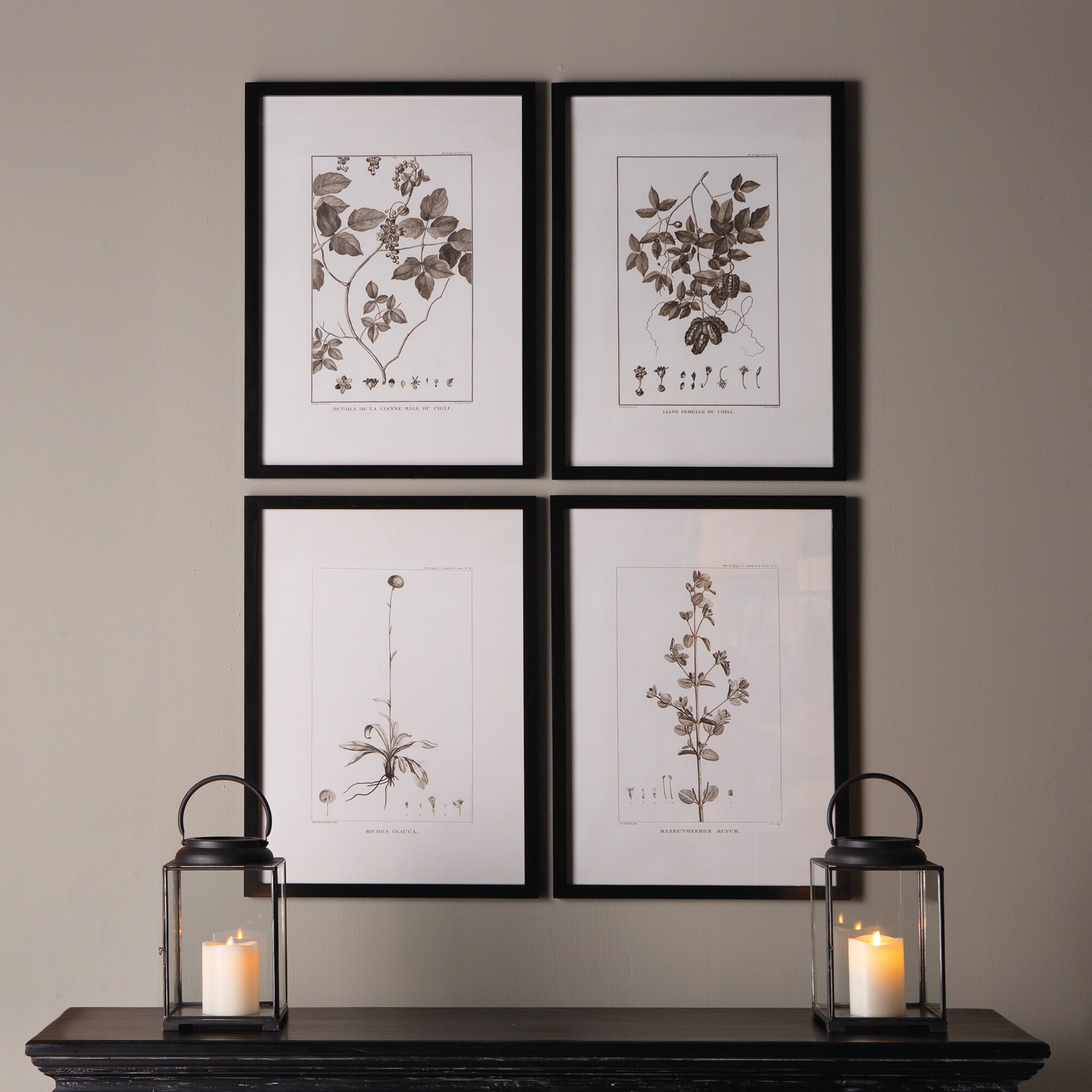 Framed Sepia-Tone Botanical Prints, Set Of 4 - Overstock