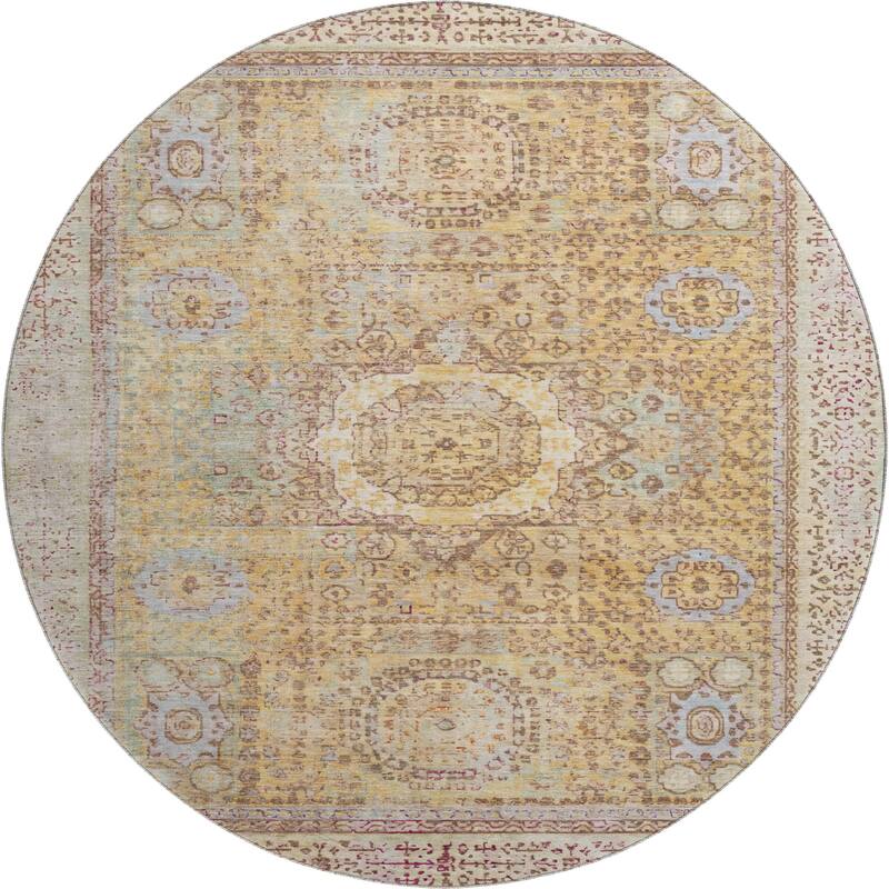 Premium Washable Super Soft Vintage Traditional Mayfield Rug
