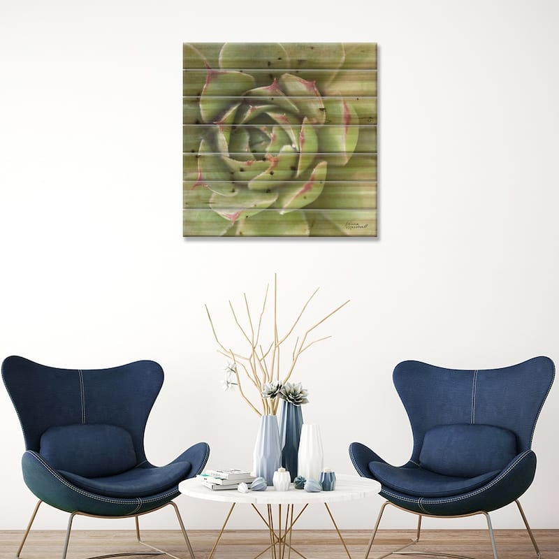 Garden Succulents II Print On Wood by Laura Marshall - Multi-Color