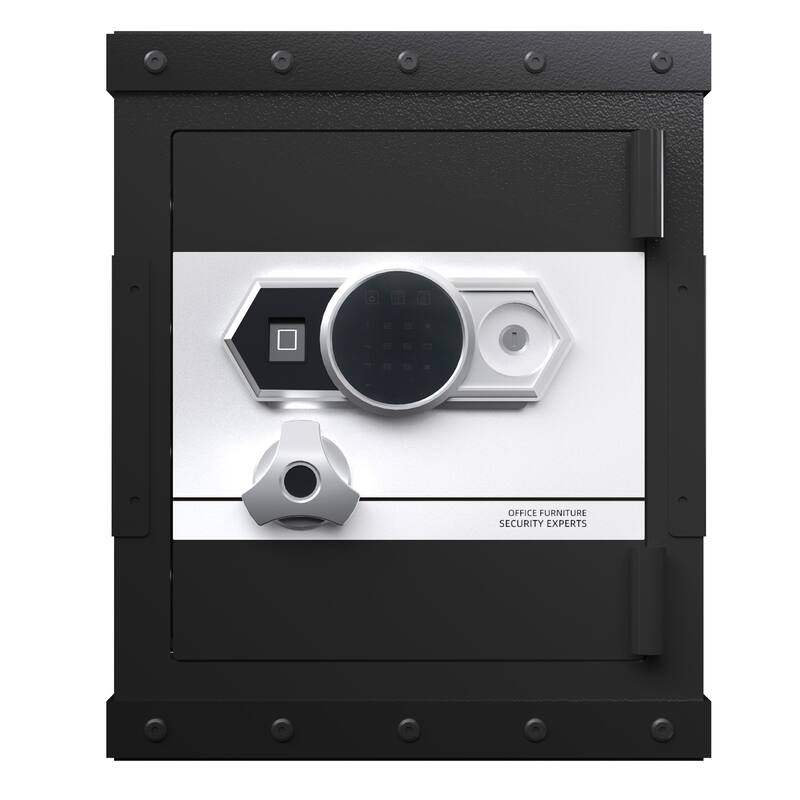 Roomfitters 20.4 Inch Biometric Security Safe with Fingerprint Lock and Hidden Compartment, Carbon Steel, Black