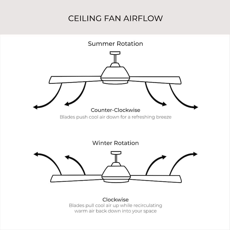 Nolyn Modern LED Ceiling Fan with Blades