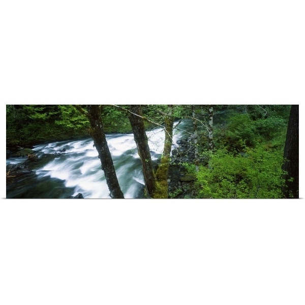 Shop Water Cascading Through Forest In Solduc River Valley