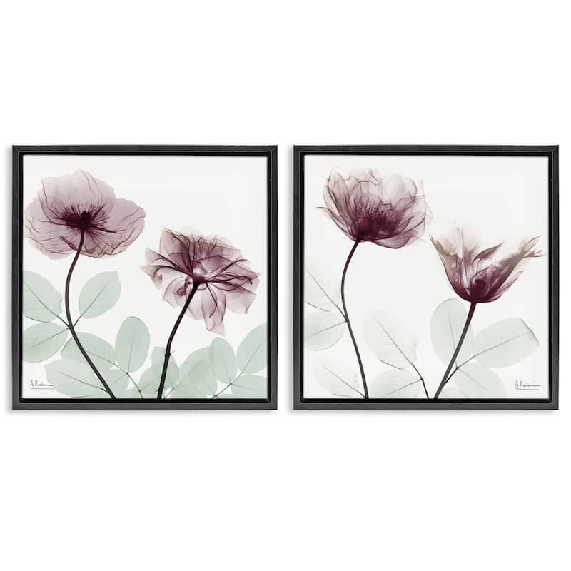Stupell Delicate Mauve Flowers Framed Floater Canvas Wall Art Design By Albert Koetsier (Set of 2) - 18 x 18 - Black