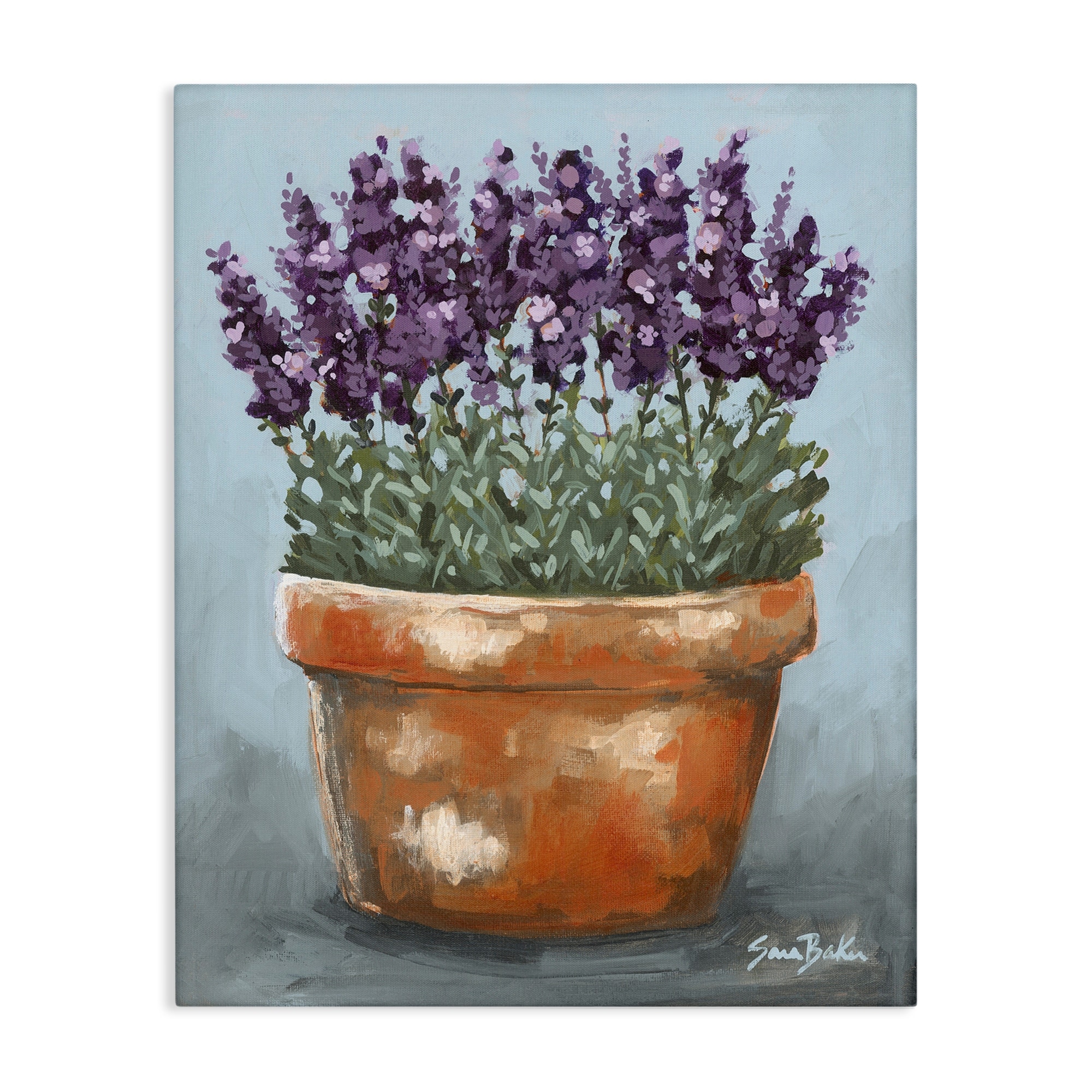 Stupell Potted Lavender Herbs Canvas Wall Art Design By Sara Baker