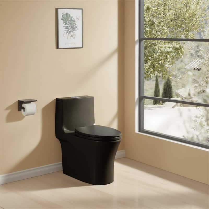 Matte Black One-Piece Toilet - Matt Black