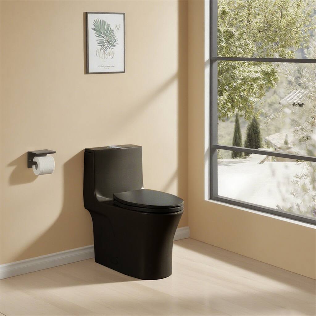 Matte Black One-Piece Toilet