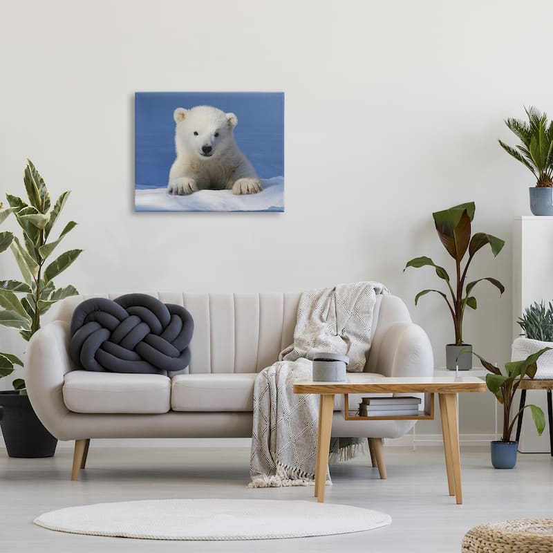 Stupell Baby Polar Bear Peeking Canvas Wall Art Design by © Shane Lamb