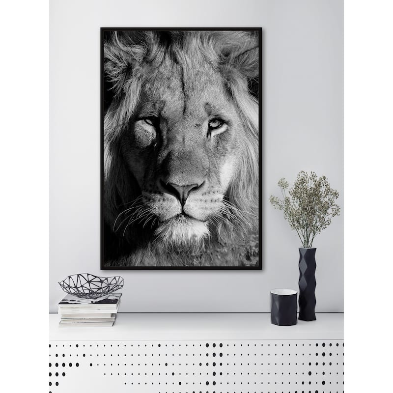 Lion Portrait Floater Framed Print on Canvas