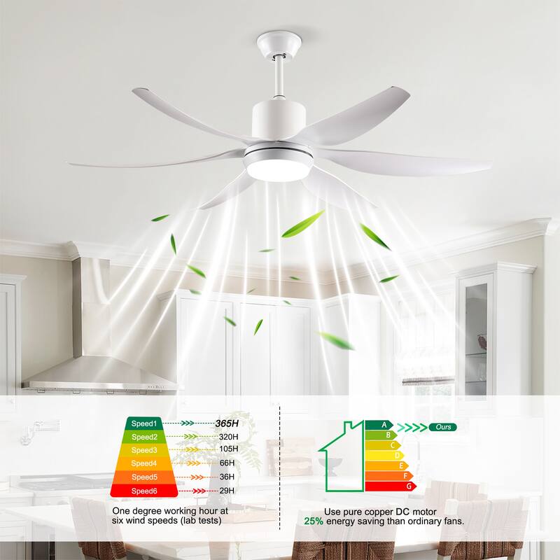 Ceiling Fan with Light Kit