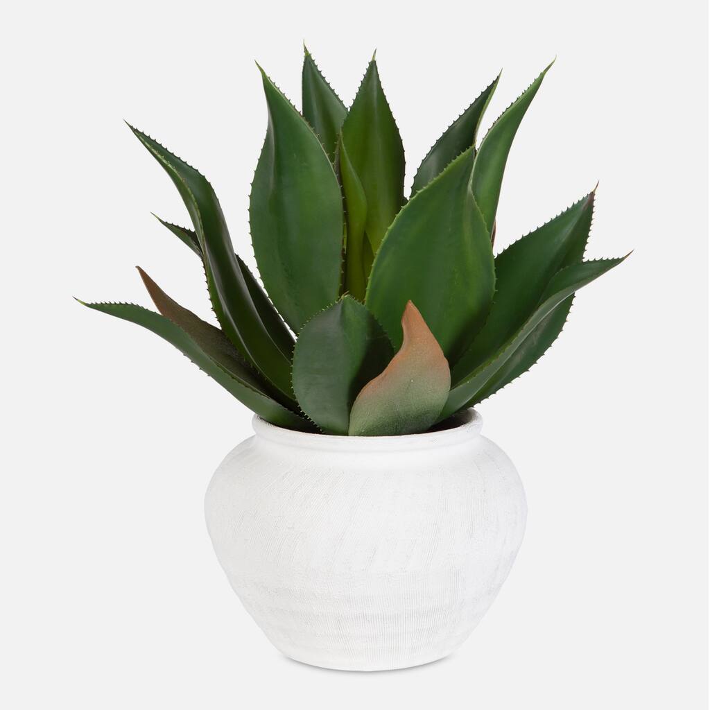 Agave Artificial Floral Arrangements with Ceramic Vase - 24" - Green and Cream