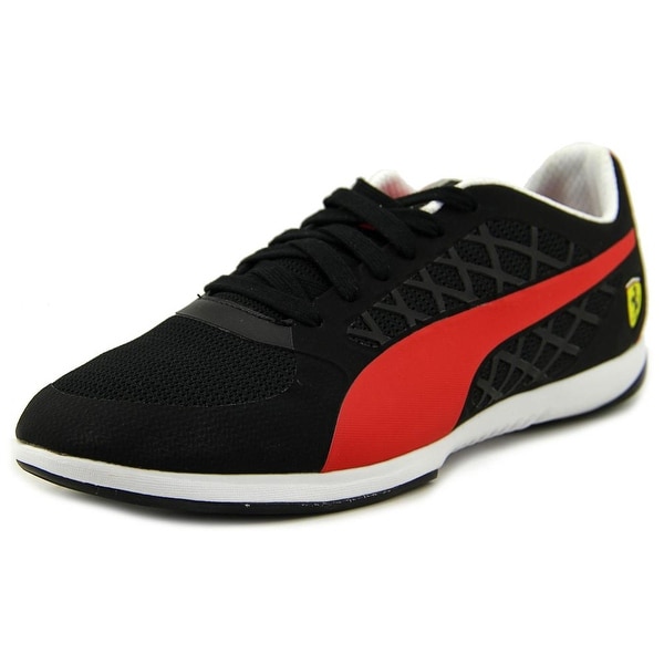 puma valorosso