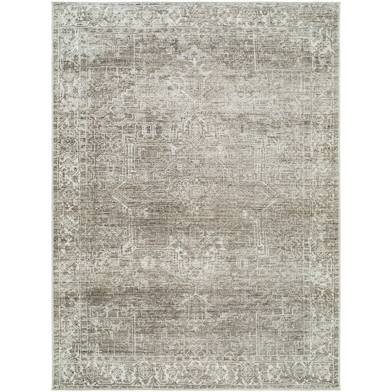 Galey Alix x Livabliss Collins Avenue VII Vintage Medallion Area Rug