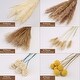 preview thumbnail 2 of 7, VECELO 51 pieces natural dry pampas grass decorations - 51 pieces
