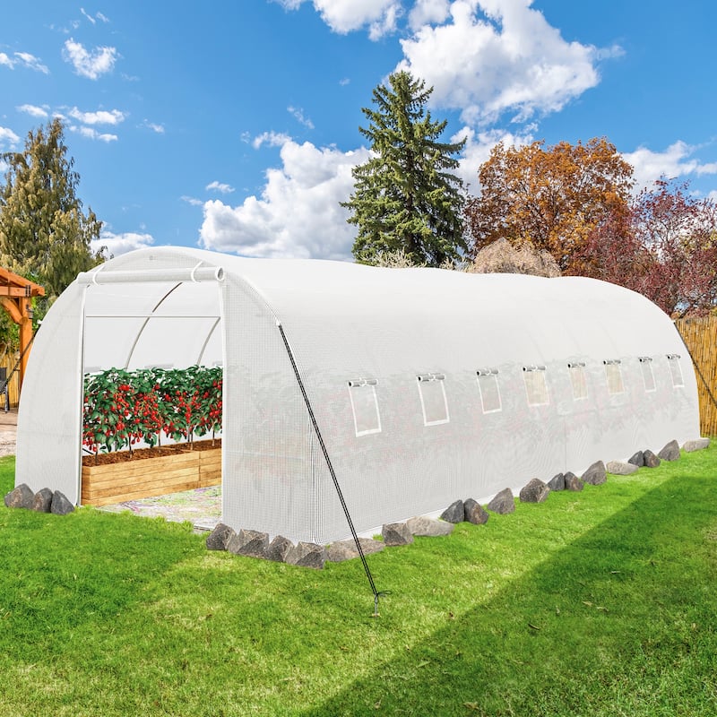 Moasis Walk-in Greenhouse with Reinforced Steel Frame