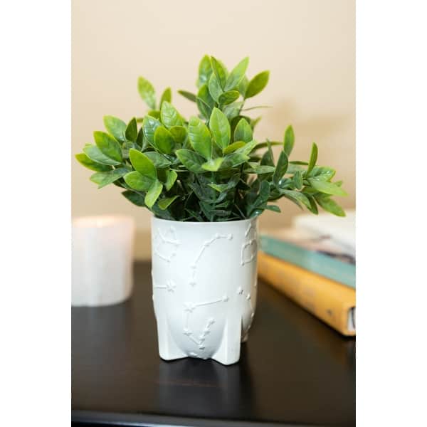9"H Artificial Plant Teaf Leaf in 3.75" CONSTELLATION Ceramic footed Pot -  ONE-SIZE - Bed Bath & Beyond - 31629373