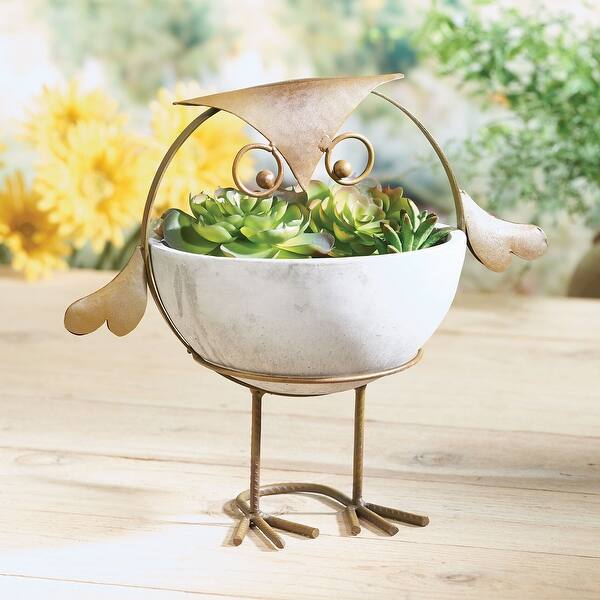 Amazon Com Potaroma Succulent Pots Cute Ceramic Owl Planters