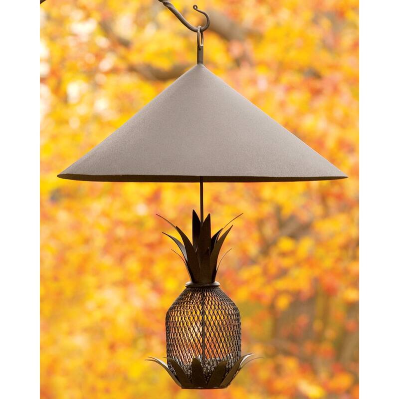 Achla Designs Hanging Squirrel Deflector, 18 Inch Diameter, Black Powder Coat Finish