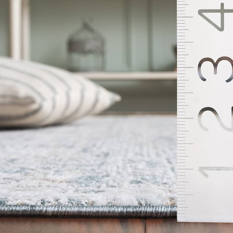 SAFAVIEH Romance Einike Vintage Distressed Rug