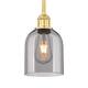Option Satin Gold / Light Smoke