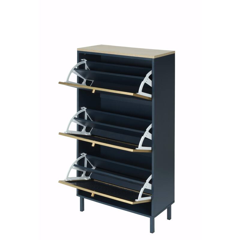 Modern Freestanding Shoe Storage Cabinet with 3 Metal Doors