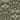Chesapeake Mystic Moth Dark Green Forest Magic Wallpaper