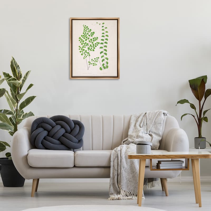 Stupell Vivid Green Ferns Study Framed Floater Canvas Wall Art Design By Phillipa Katz