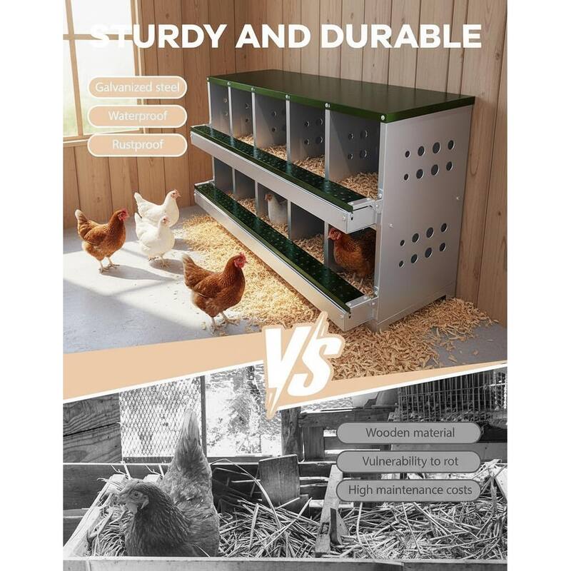 Chicken Nesting Boxes, with 10 Compartment