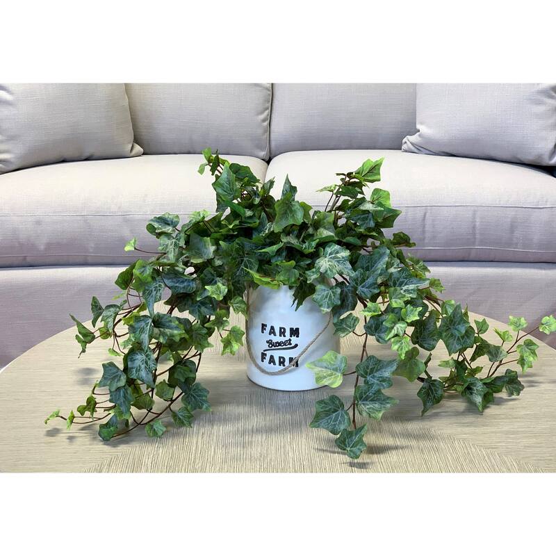 Ivy Arrangement in a Ceramic Pot - Green