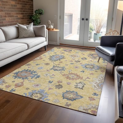 Machine Washable Indoor/ Outdoor Traditional Persian Chantille Rug