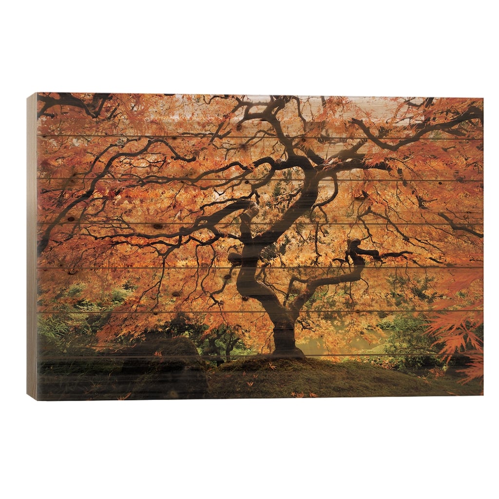 Japanese maple tree in autumn, Japanese Garden, Portland, Oregon, USA Print On Wood by Panoramic Images - Multi-Color
