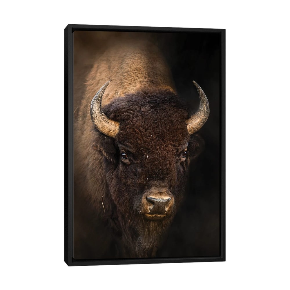 iCanvas "Bison In Light" by Patsy Weingart Framed Canvas Print