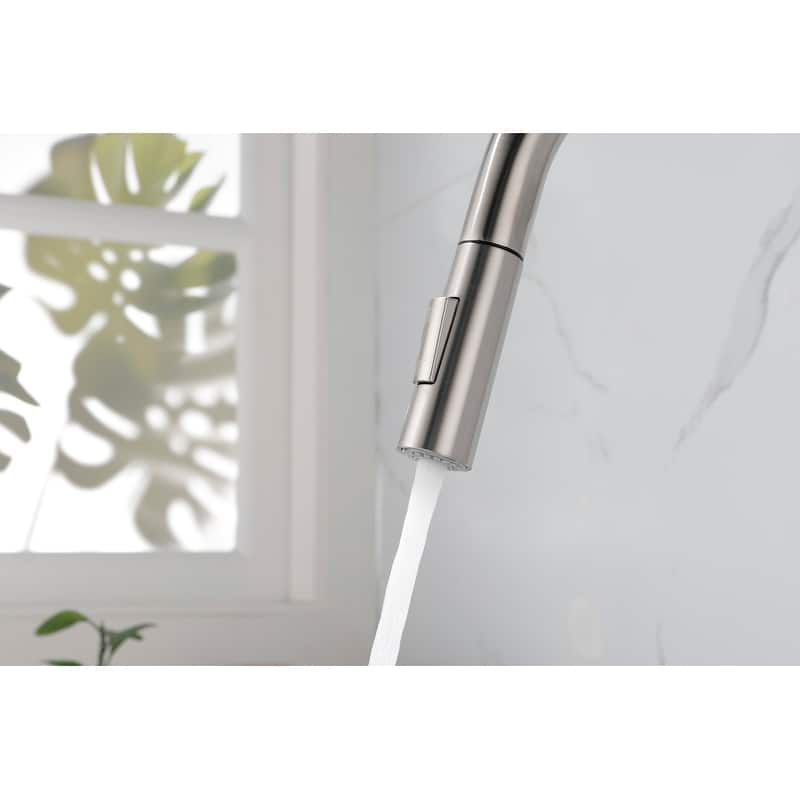 Kitchen Faucet with Pull Down Sprayer