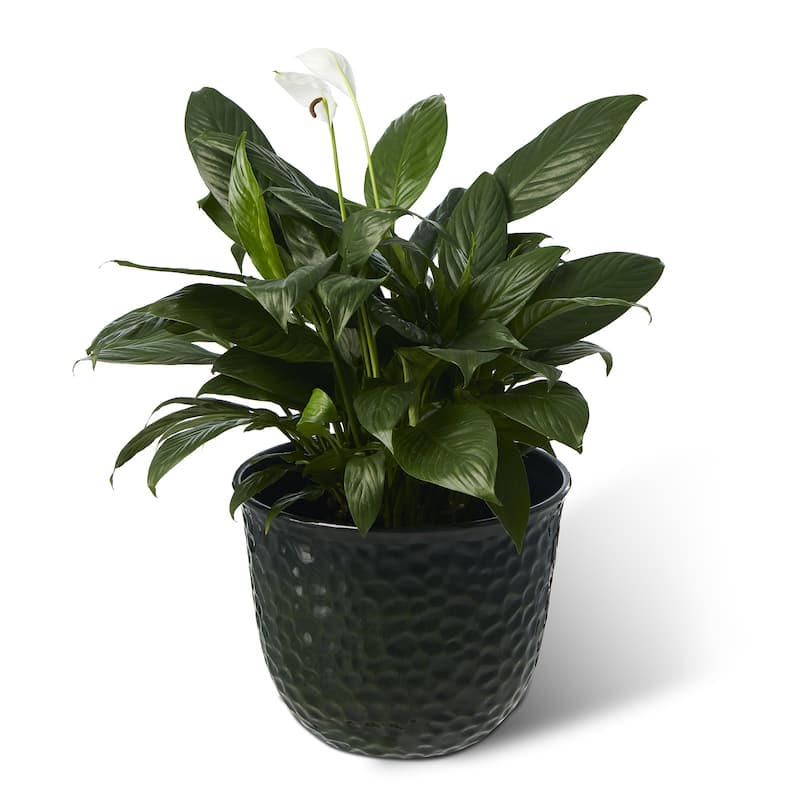 Glitzhome Honeycomb Textured Blue Green Faux Ceramic Pot Plastic Planter(Set of 2 / Set of 3)
