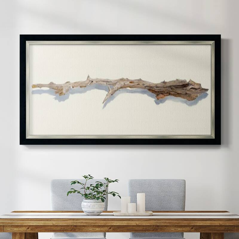 Driftwood Study I Premium Framed Canvas- Ready to Hang