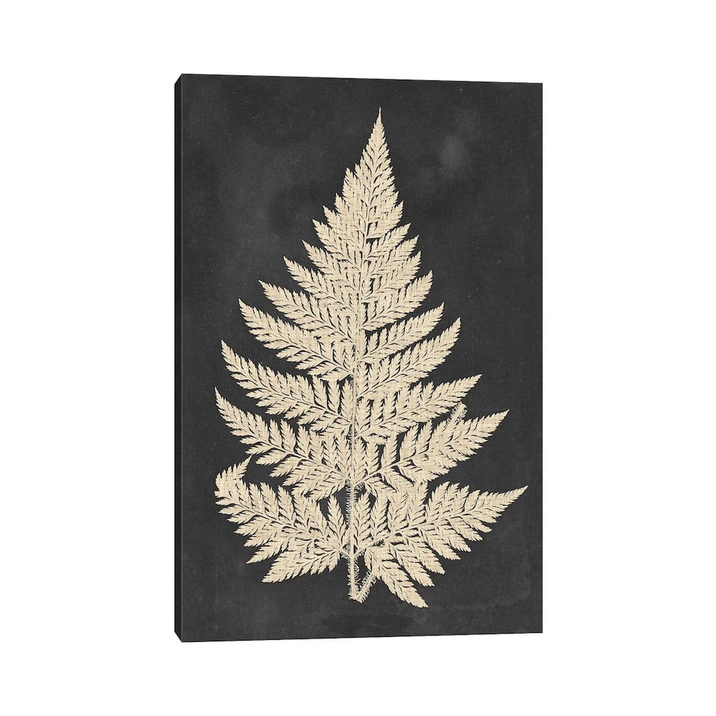 iCanvas "Linen Fern I" by Vision Studio Canvas Print