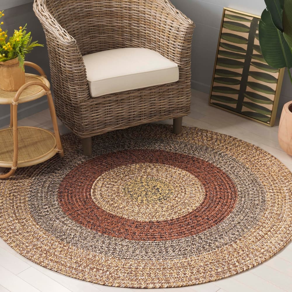 SAFAVIEH Handmade Braided Ecenur Indoor/Outdoor Machine Washable Rug
