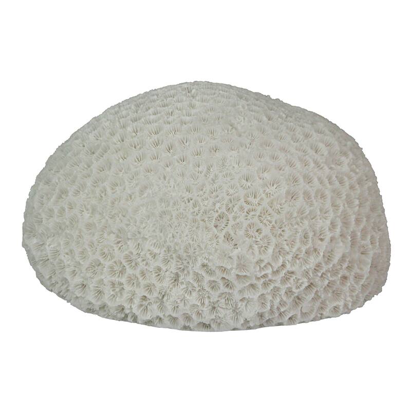 6 Inch Resin Led Brain Coral Accent Lamp Table Light - 3.25 X 6 X 5 inches