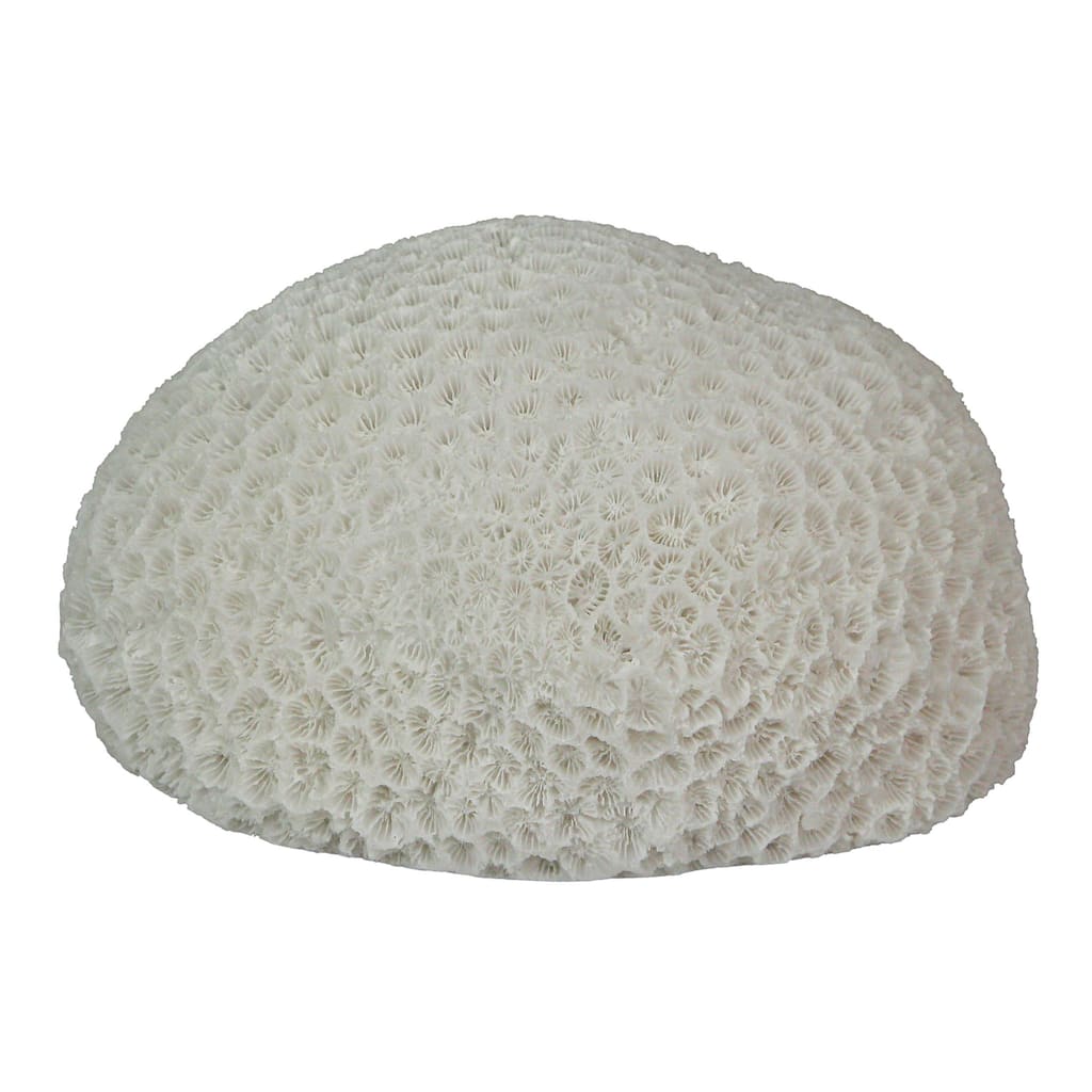 6 Inch Resin Led Brain Coral Accent Lamp Table Light - 3.25 X 6 X 5 inches