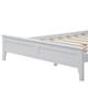 Option White