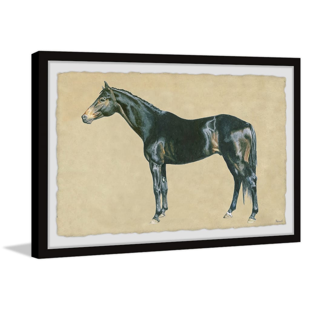 Born to Ride Framed Print