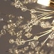 preview thumbnail 60 of 79, 8/9/12/16-Light Modern Linear Sputnik Firework Dandelion Crystal Chandelier