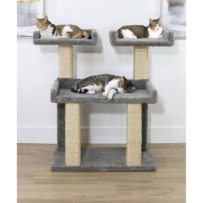 Large Maine Coon Cat Perch with Oversized Platforms and Stable Scratch Posts for Multiple Big Cats