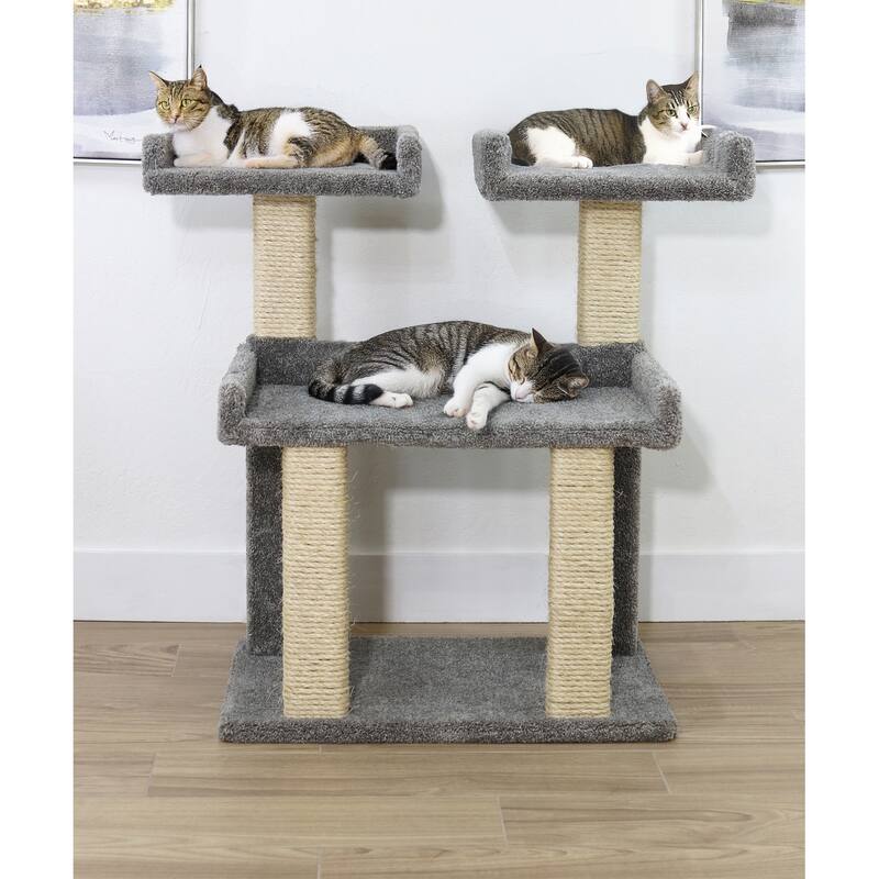 Oversized Maine Coon Cat Perch with Spacious Lounging Platforms and Sturdy Scratch Posts for Big Cats