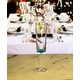 preview thumbnail 5 of 7, LeadingWare Oval Halo Acrylic Champagne Flutes Set of 4, (4oz) - 1.96" W x 1.96" L x 8.46" H