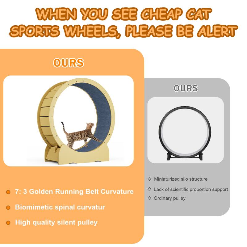 Anmytek Indoor Cat Exercise Wheel Solid Wood Pet Fitness Running Wheel for Kittens Adult Cats