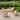 Cambridge Casual Sydney 5-piece Teak Outdoor Wicker Dining Set with Round Dining Table